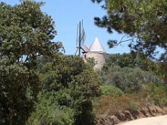 183 ILE DE PORQUEROLLES -2_000039